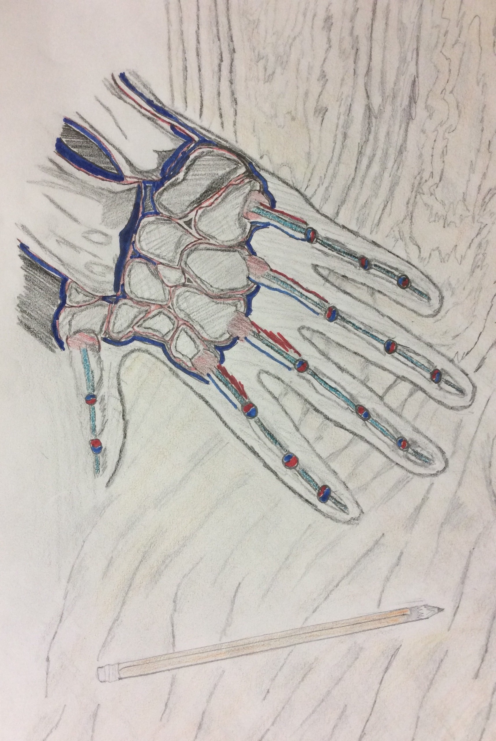 hand picture 6