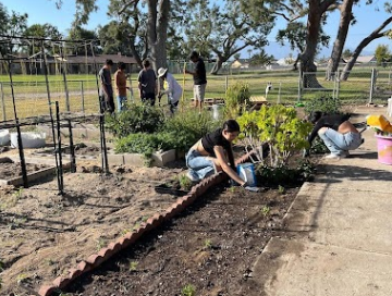 Students gardening and cleaning up a community plot