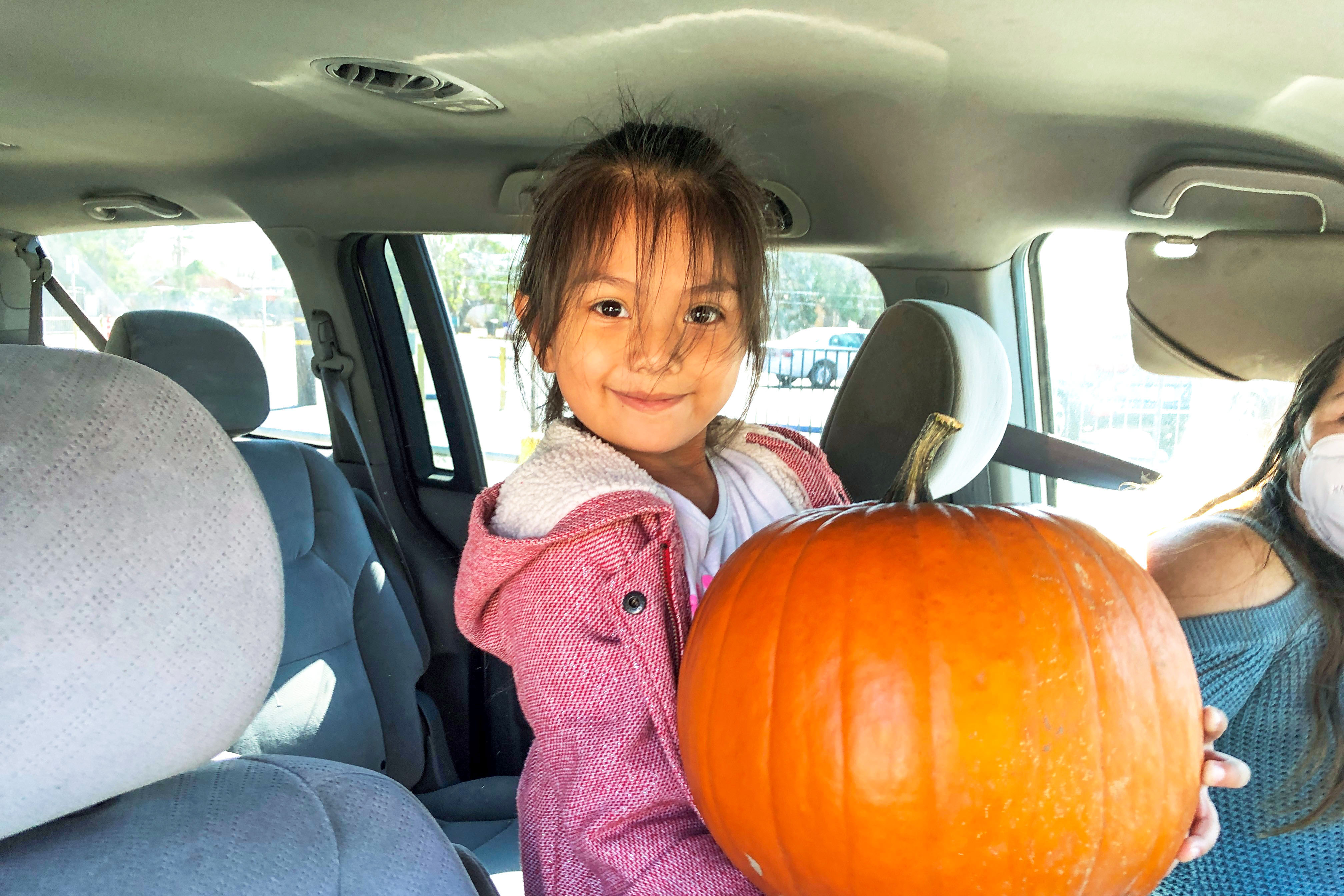 A little girl holds a huge pumpkin