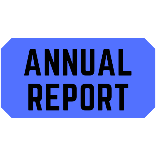 annual report (2).png