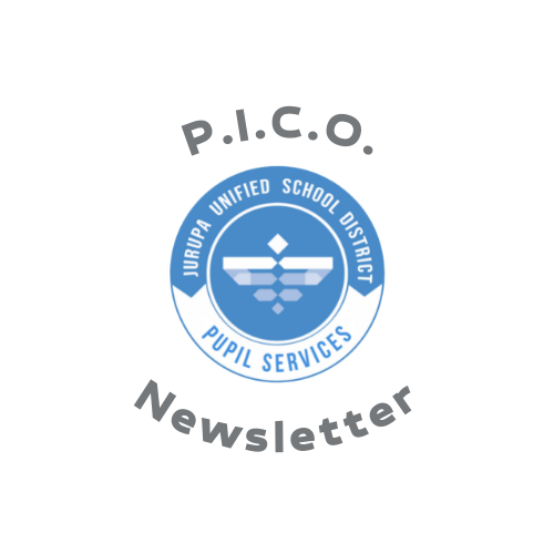 PICO logo.png